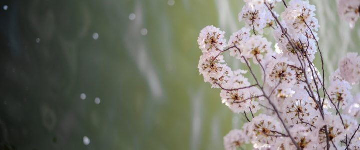 WHAT IS THE BEST TYPE OF MEDITATION?