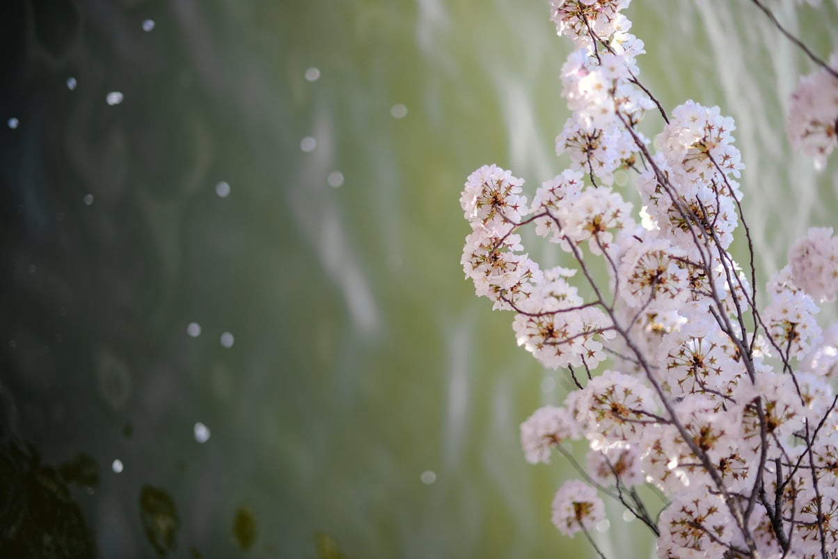 WHAT IS THE BEST TYPE OF MEDITATION?