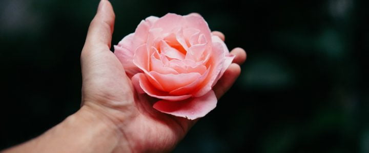WHAT ARE THE BENEFITS OF MEDITATION? WHAT ARE THE BENEFITS OF MEDITATION?