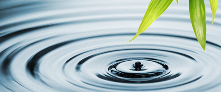 AMBROSE BIERCE “I THINK THAT I THINK, THEREFORE I THINK THAT I AM”