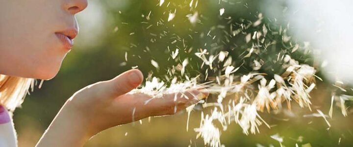 Mindfulness - Is it about being in the now?