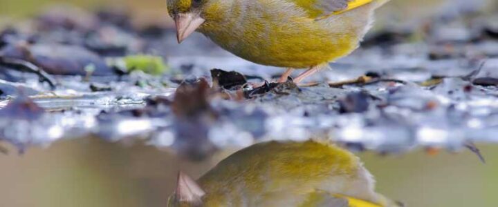 Be one with self, Not the one that is self