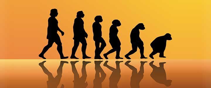 MINDFULNESS IS A De-Evolutionary PROCESS