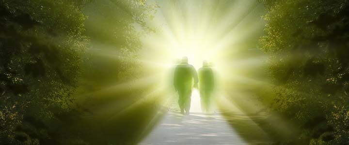 Walking Each Other Home