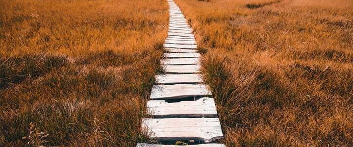 HOW DO YOU MEASURE PROGRESS ALONG YOUR PATH